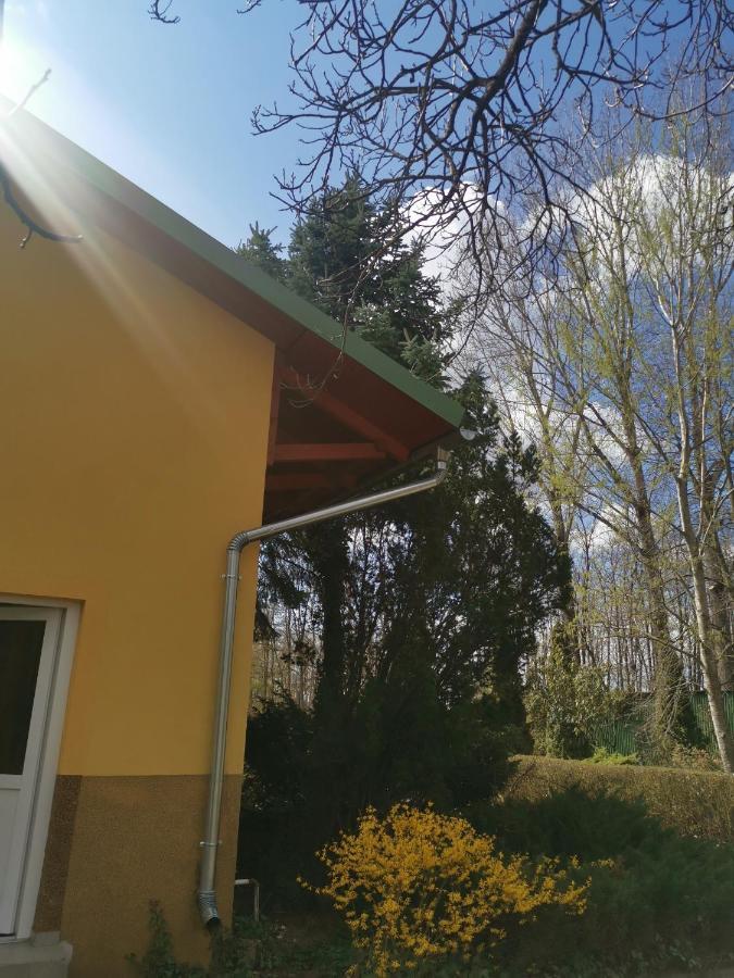 Podlovics Tanya Panzio Apartment Kemecse Exterior photo
